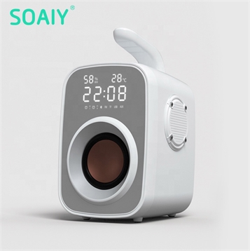 Loa Soaiy SH25
